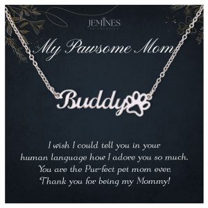 JEMINES Pawsome Mom Custom Paw Print Name Necklace