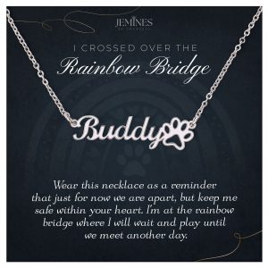 JEMINES Rainbow Bridge Custom Paw Print Name Necklace